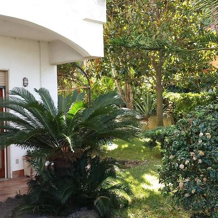 Giardino Mediterraneo Lacco Ameno  المظهر الخارجي الصورة
