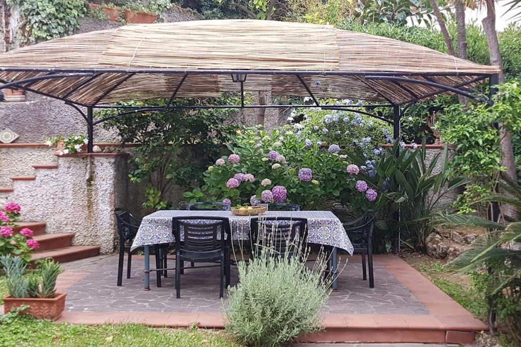Giardino Mediterraneo Lacco Ameno  المظهر الخارجي الصورة