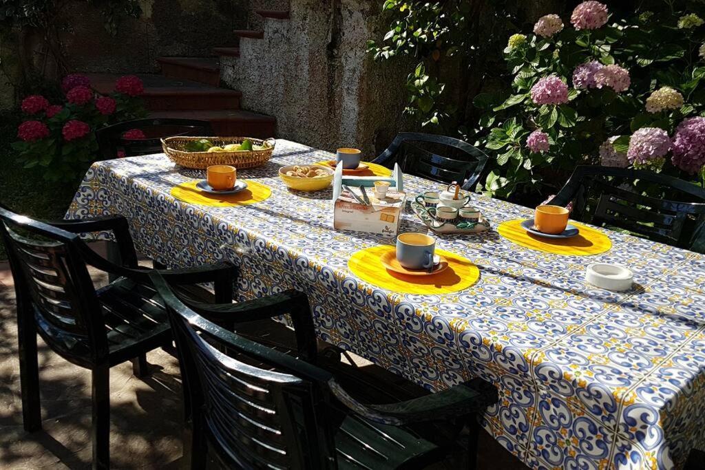 Giardino Mediterraneo Lacco Ameno  المظهر الخارجي الصورة