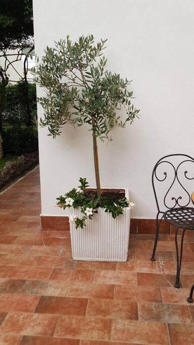 Giardino Mediterraneo Lacco Ameno  المظهر الخارجي الصورة