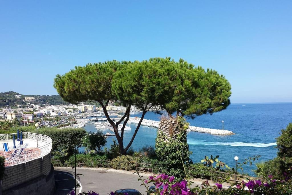 Giardino Mediterraneo Lacco Ameno  المظهر الخارجي الصورة