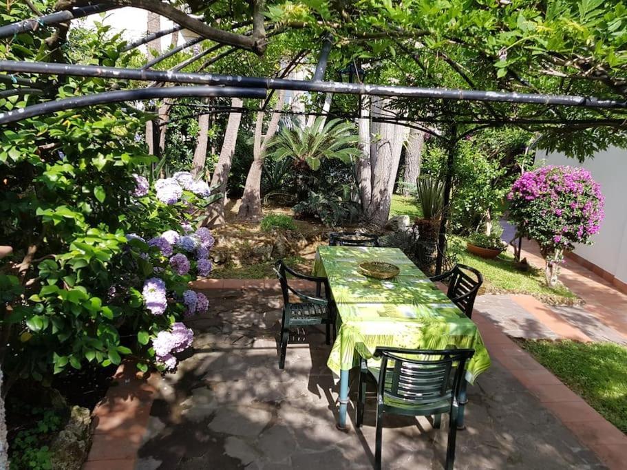 Giardino Mediterraneo Lacco Ameno  المظهر الخارجي الصورة
