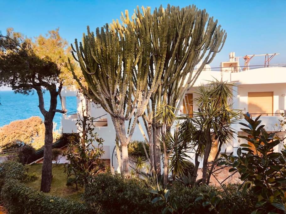 Giardino Mediterraneo Lacco Ameno  المظهر الخارجي الصورة
