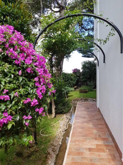 Giardino Mediterraneo Lacco Ameno  المظهر الخارجي الصورة